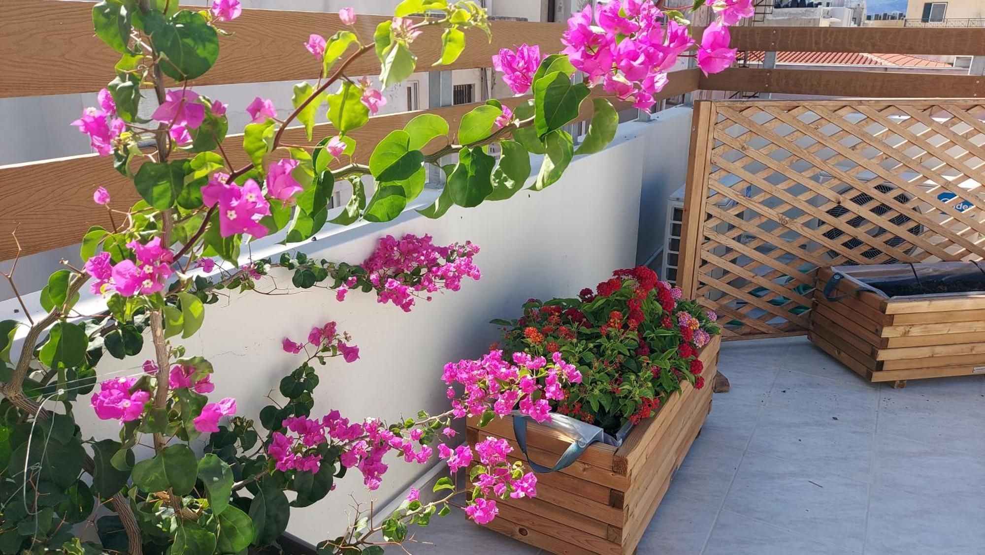 The Blue Apartment In The Heart Of Heraklion מראה חיצוני תמונה